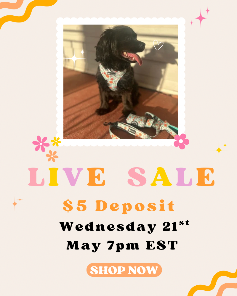 Live Sale - Rhiannion