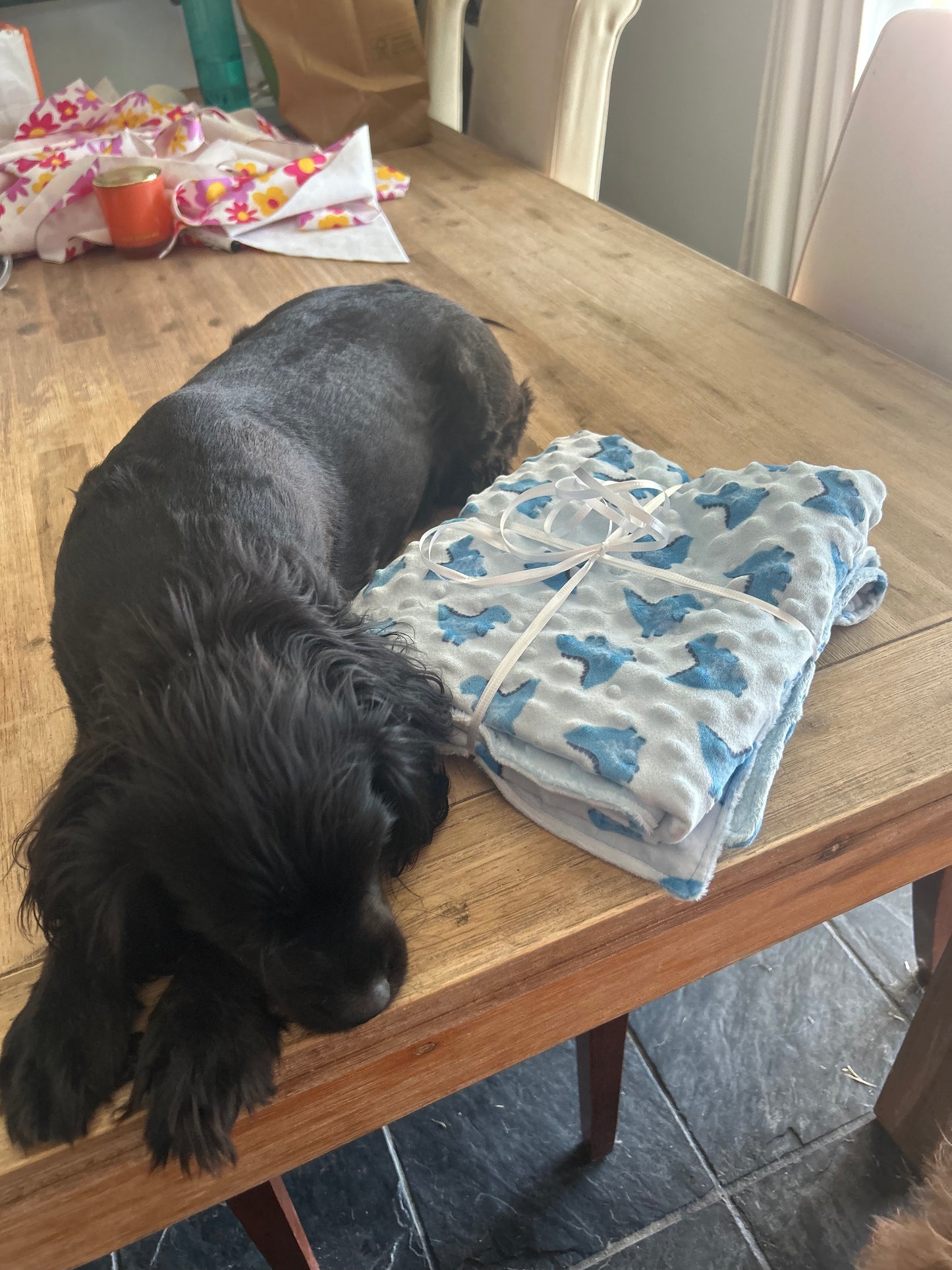 Baby/Dog Blanket