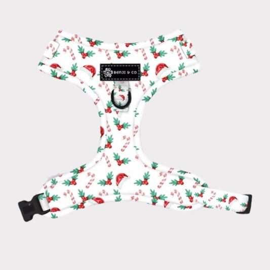 White Christmas - Harness